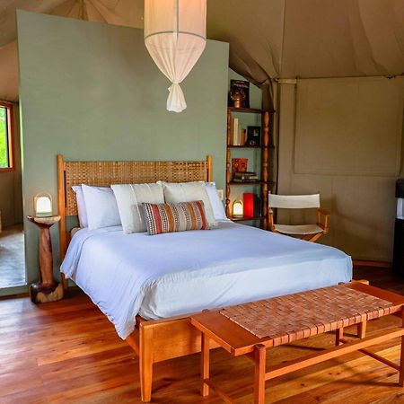 Sleeping Giant Rainforest Lodge เบลโมแพน ภายนอก รูปภาพ