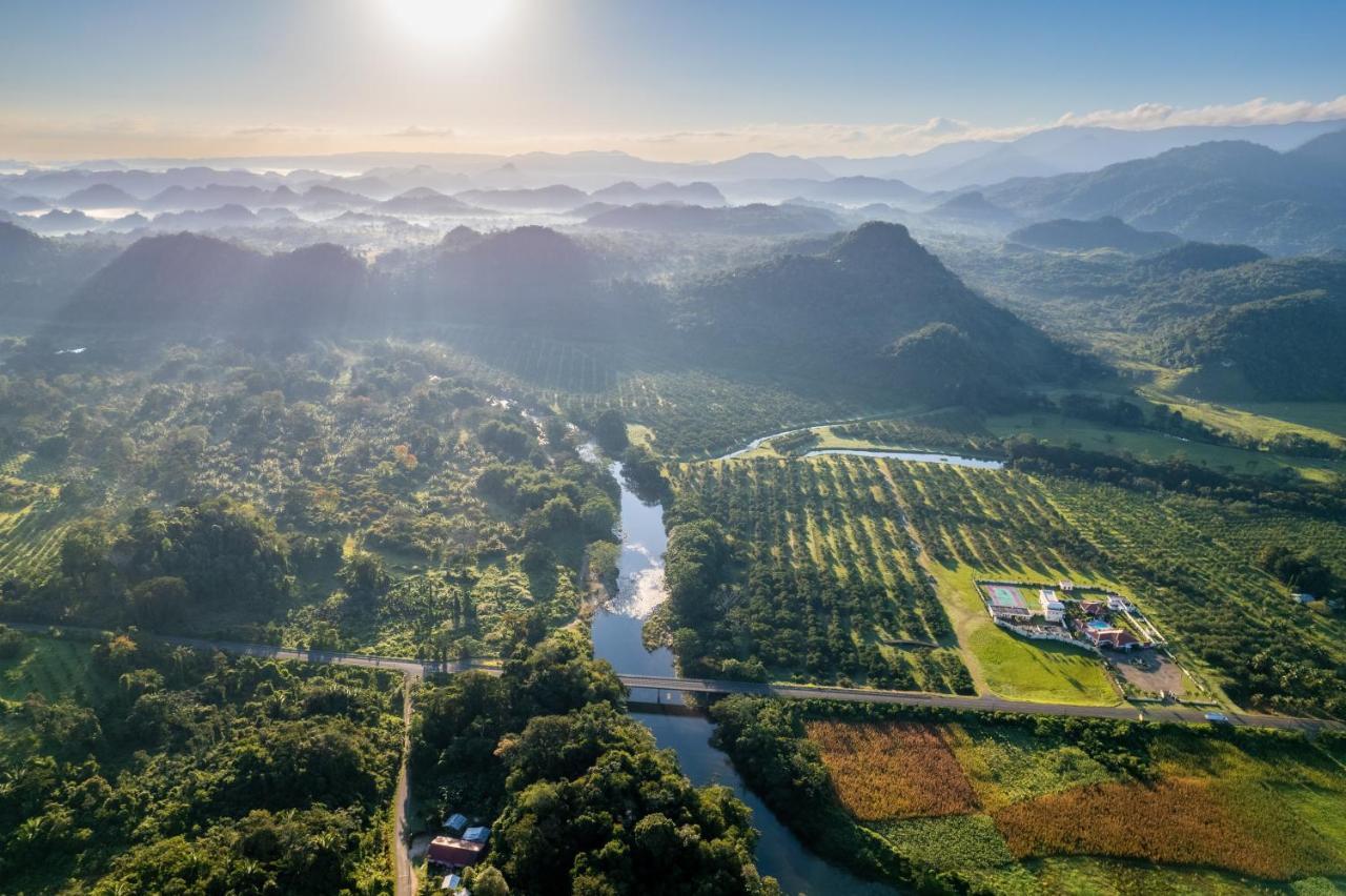Sleeping Giant Rainforest Lodge เบลโมแพน ภายนอก รูปภาพ