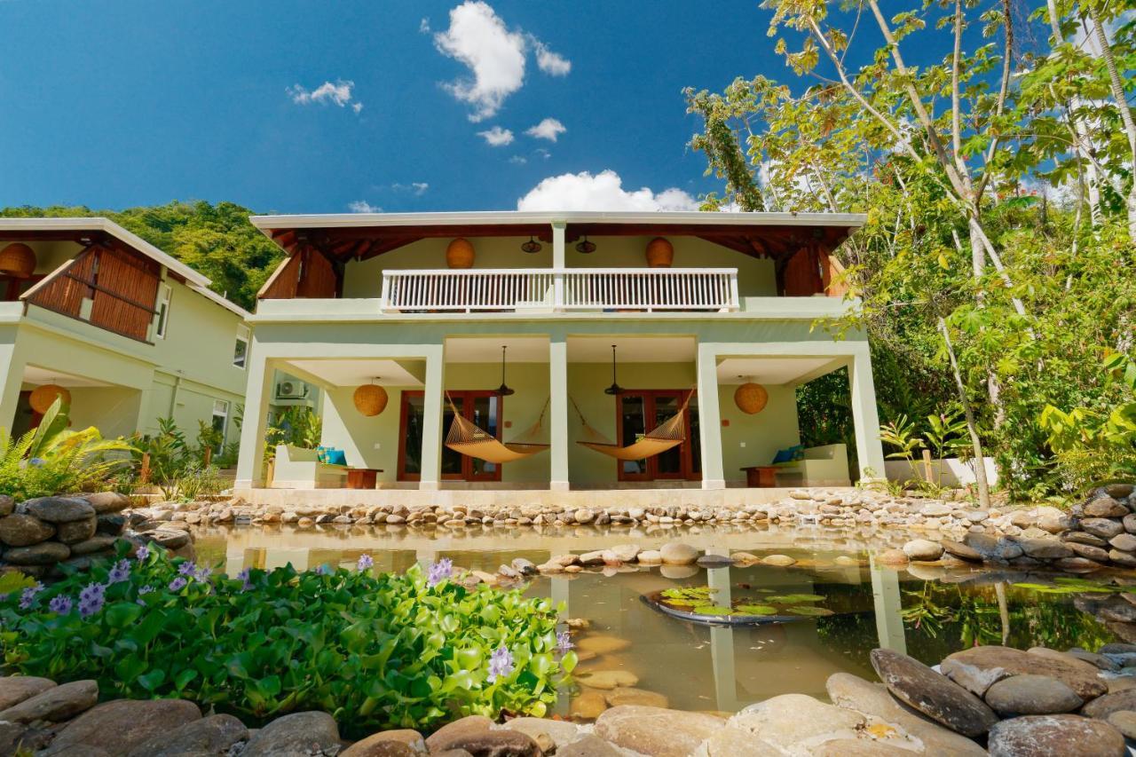 Sleeping Giant Rainforest Lodge เบลโมแพน ภายนอก รูปภาพ