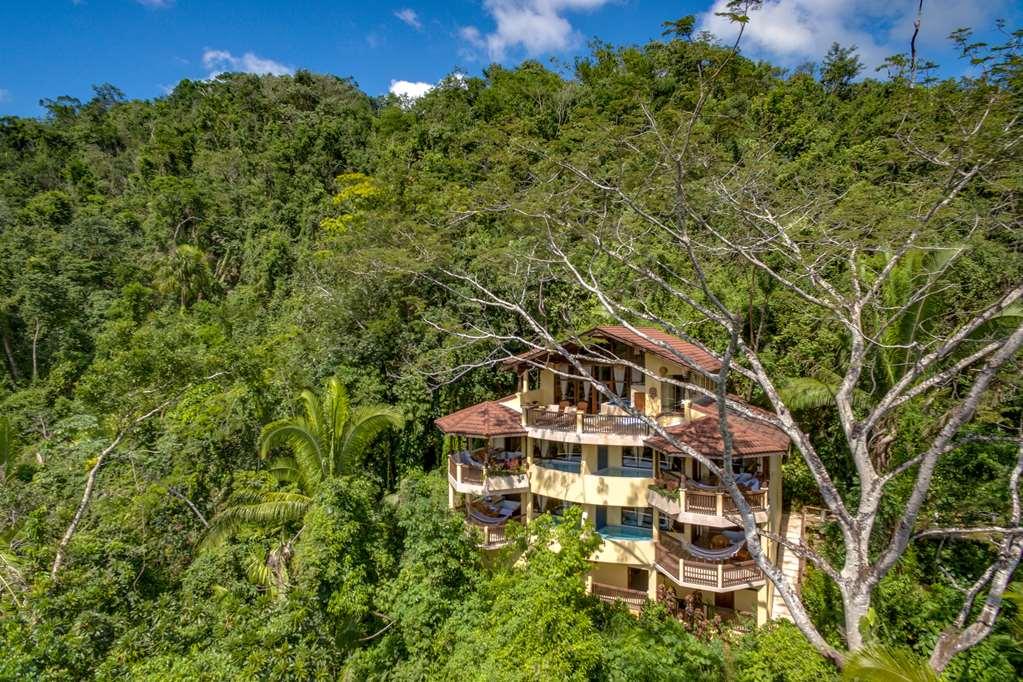 Sleeping Giant Rainforest Lodge เบลโมแพน ภายนอก รูปภาพ