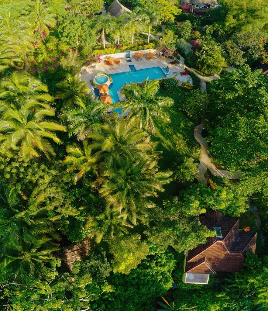 Sleeping Giant Rainforest Lodge เบลโมแพน ภายนอก รูปภาพ