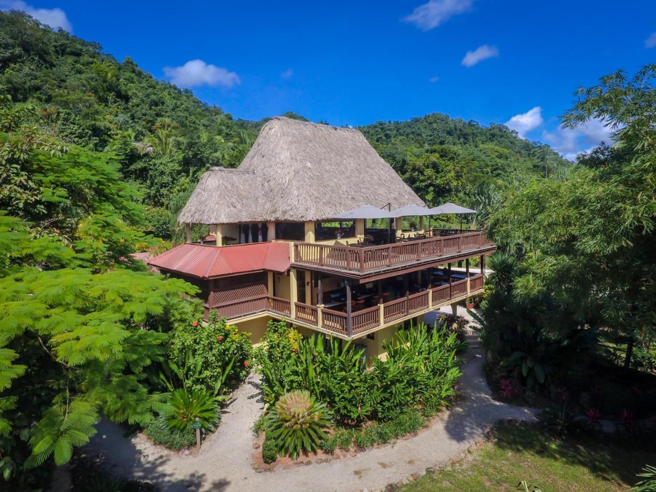 Sleeping Giant Rainforest Lodge เบลโมแพน ภายนอก รูปภาพ