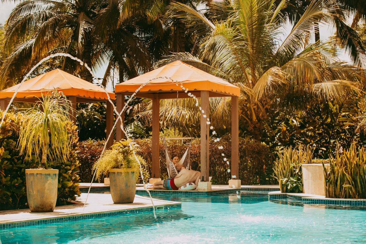 Sleeping Giant Rainforest Lodge เบลโมแพน ภายนอก รูปภาพ