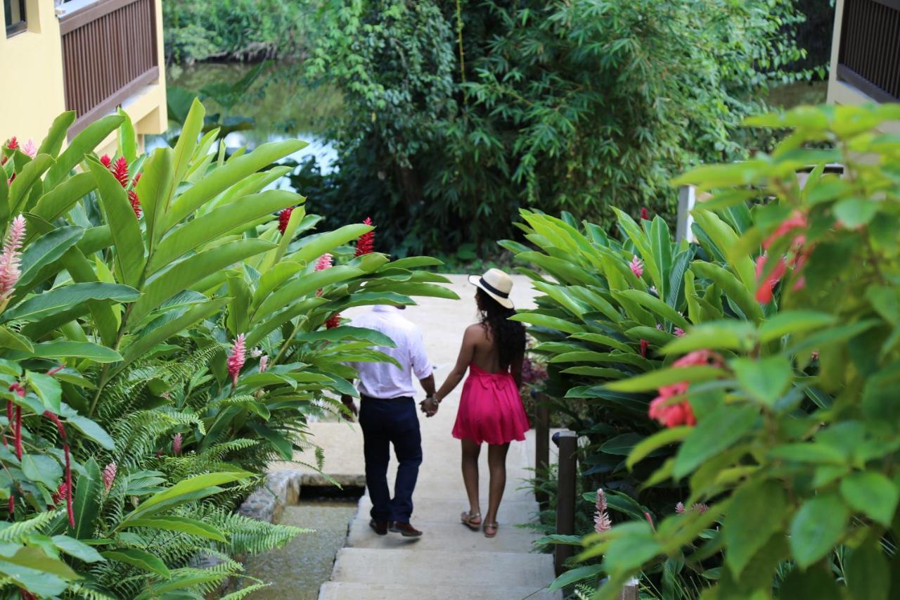 Sleeping Giant Rainforest Lodge เบลโมแพน ภายนอก รูปภาพ
