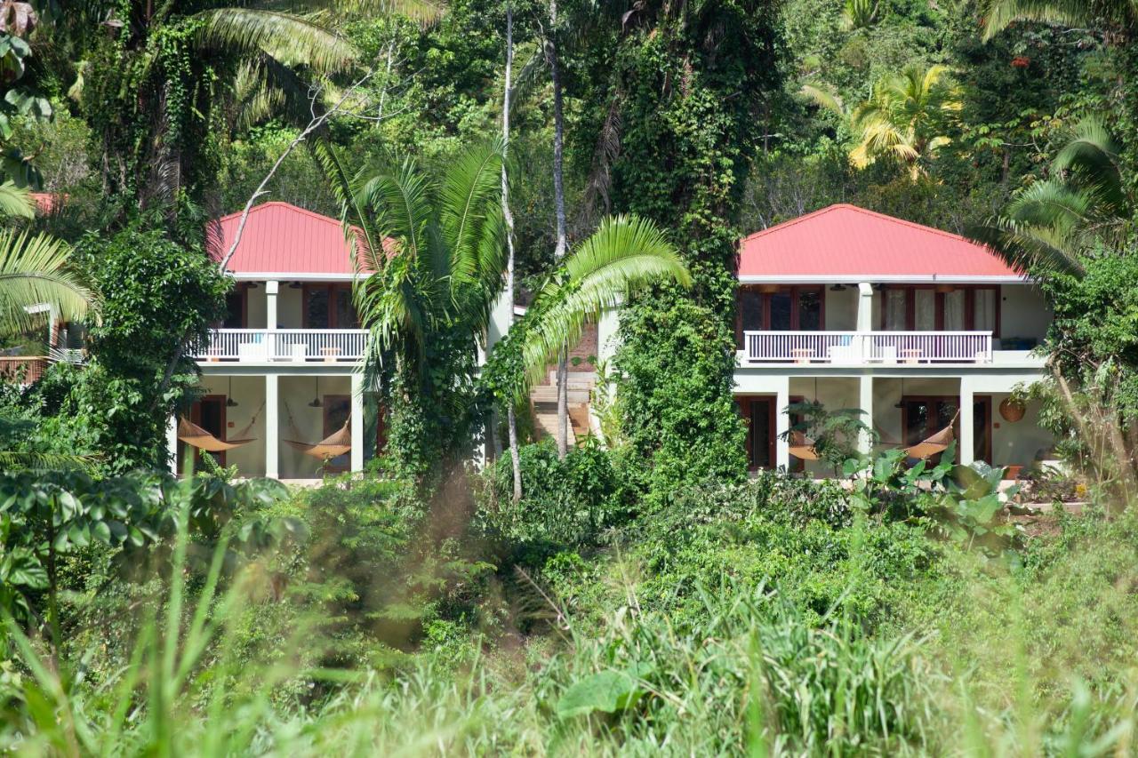 Sleeping Giant Rainforest Lodge เบลโมแพน ภายนอก รูปภาพ