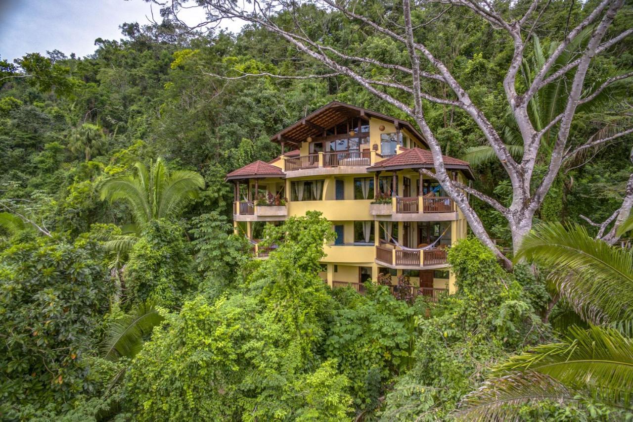 Sleeping Giant Rainforest Lodge เบลโมแพน ภายนอก รูปภาพ