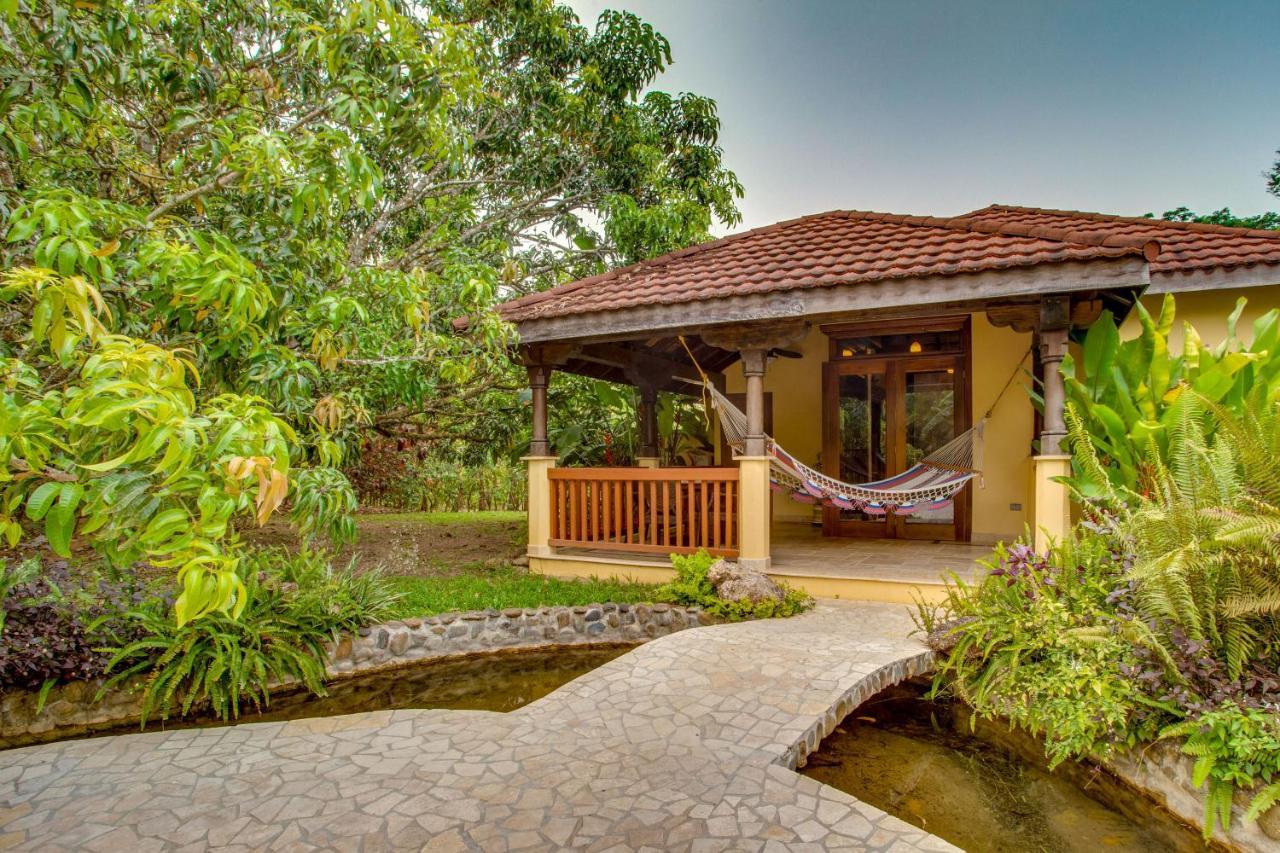 Sleeping Giant Rainforest Lodge เบลโมแพน ภายนอก รูปภาพ