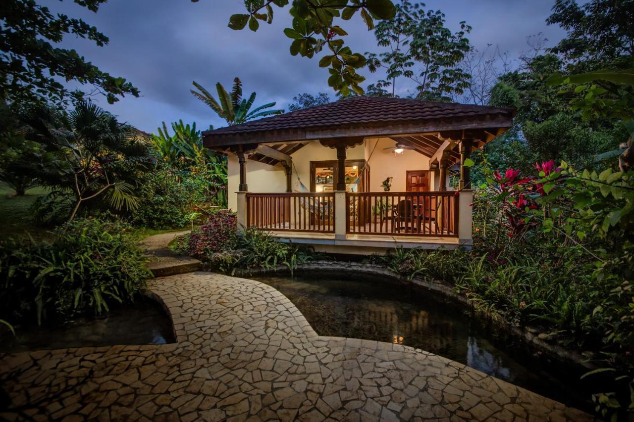 Sleeping Giant Rainforest Lodge เบลโมแพน ภายนอก รูปภาพ
